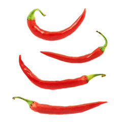 Red chili pepper isolated
