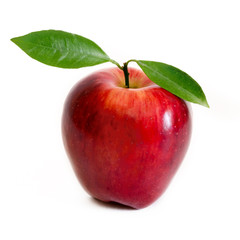 Single red apple isolated on white background