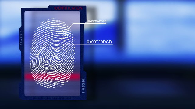Loop scanner fingerprint