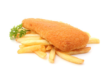 fish