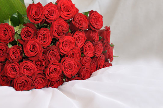 Rote Rosen Stock Photos And Royalty Free Images Vectors And Illustrations Adobe Stock
