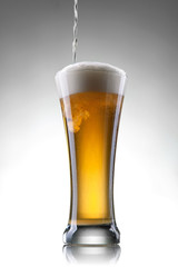 Beer in glass on white background