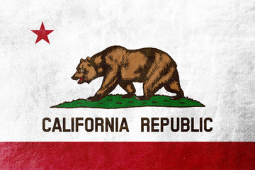Obraz premium California State Flag painted on leather texture