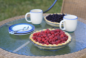 Enjoying countryside life. Wonderful summer morning