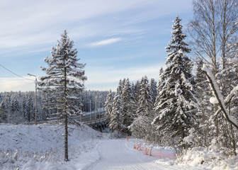 Road bridge in winter forest