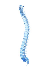 3d rendered illustration - glass spine