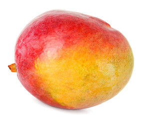 mango isolated
