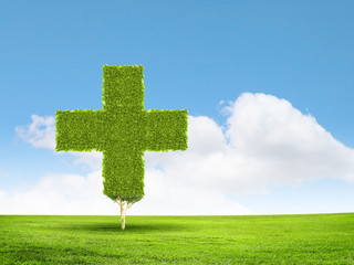 Greenery concept