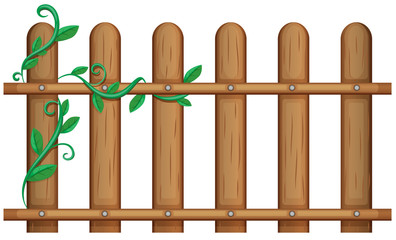 A wooden fence with vine plants