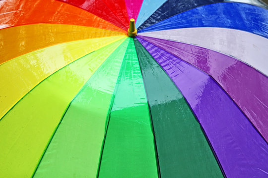 "Color Umbrella" Images – Browse 360 Stock Photos, Vectors, and Video | Adobe Stock