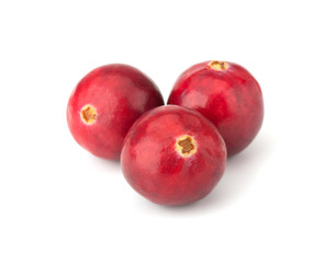 Cranberry isolated on white background closeup