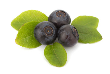 Fresh blueberries isolated on white background