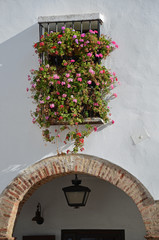 balcony with geraniums