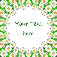 Design colorful chamomile background for text. Floral decorative