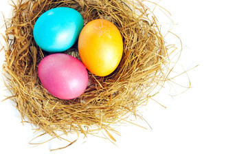 Naklejka na ściany i meble Easter eggs in bird nest