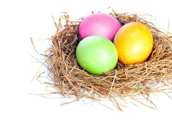 Fototapeta na wymiar Easter eggs in bird nest