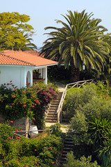 Fototapeta premium Beautiful white house in the mediterranean garden(Greece).
