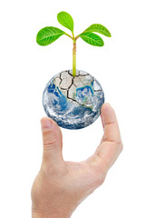 Hand holding planet with plants isolated on white background.