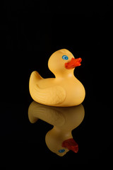 gelbe Badeente - Freisteller schwarz