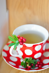 Cowberry (Vaccinium vitis-idaea) tea