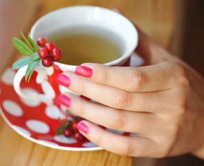 Cowberry (Vaccinium vitis-idaea) tea in woman hands
