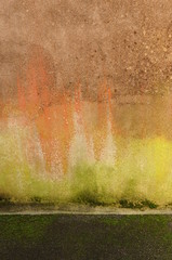 HiHintergrund Wand mit farbigen Algen und Flechten