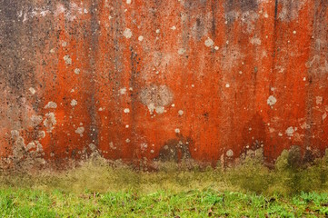 Hintergrund Wand mit farbigen Flechten und Algen