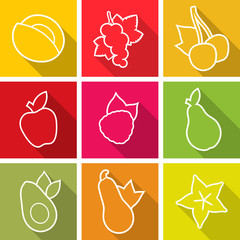 Flat design icons. Set of fruit. Vector illustration.