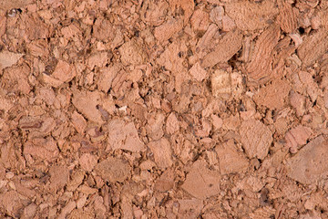 Natural pith a texture a background