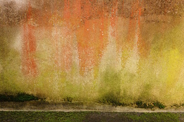 Hintergrund Wand mit farbigen Algen und Flechten