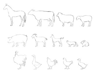 Farm animals vector set. Livestock.