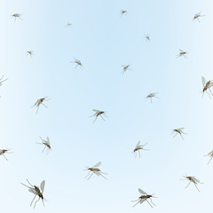 Mosquitos Seamless border. Blue sky background Incest pattern