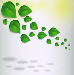 abstract leaves backgrouns