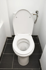 Home flush toilet