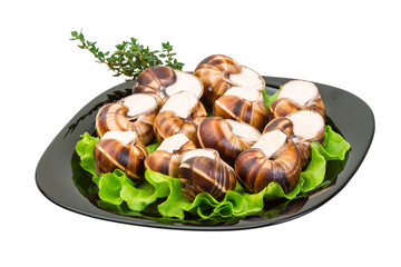 Escargot