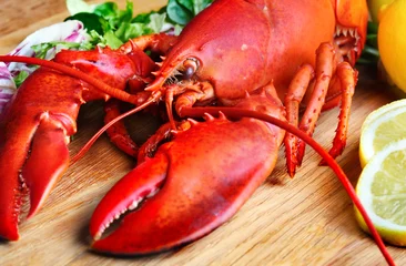 Printed kitchen splashbacks Sea Food Boiled lobster and lemon