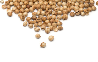 Aniseed isolated on the white background