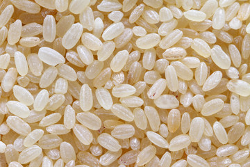 raw white rice background macro