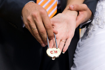 Hands of groom and bride