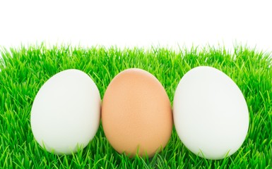 White and brown fresh eggs on a grass background