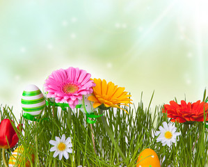 flowers with the grass, spring and easter concept 