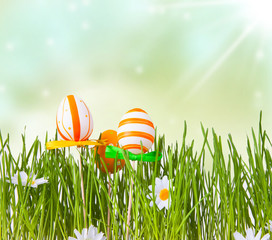 flowers with the grass, spring and easter concept 