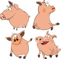 Set of cheerful pigs Cartoon