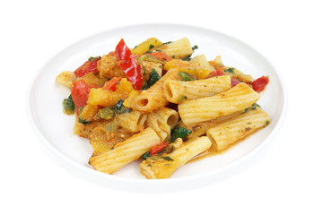 Small serving of rigatoni pasta with vegetables