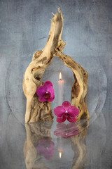 Wurzelholzskulptur mit Orchideen und Kerze