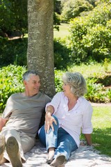 Fototapeta premium Relaxed couple sitting together against tree at park