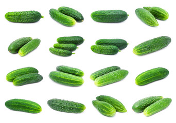 Cucumbers