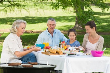 Grandparents mother and daughter having lunch in lawn