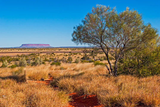 Australian bush (outback)