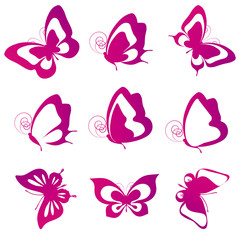 butterflies design